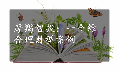 摩羯智投：一个综合理财型案例