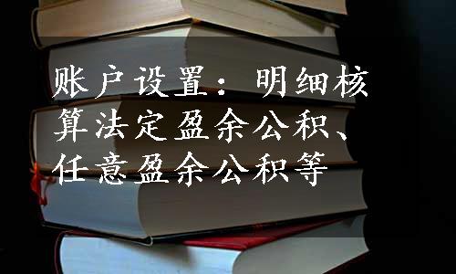 账户设置：明细核算法定盈余公积、任意盈余公积等