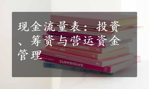 现金流量表：投资、筹资与营运资金管理