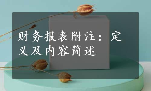 财务报表附注：定义及内容简述