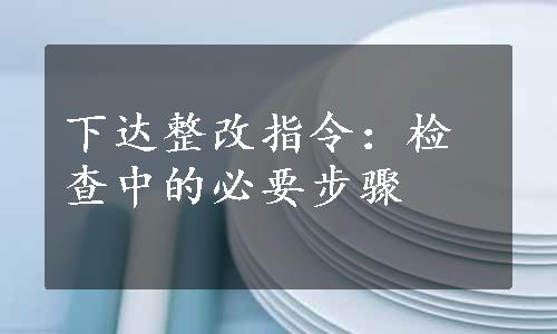 下达整改指令：检查中的必要步骤