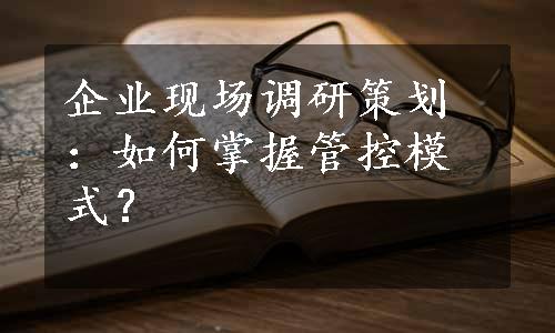 企业现场调研策划：如何掌握管控模式？