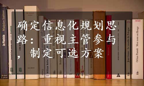 确定信息化规划思路：重视主管参与，制定可选方案