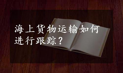 海上货物运输如何进行跟踪？