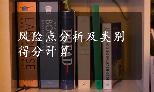 风险点分析及类别得分计算