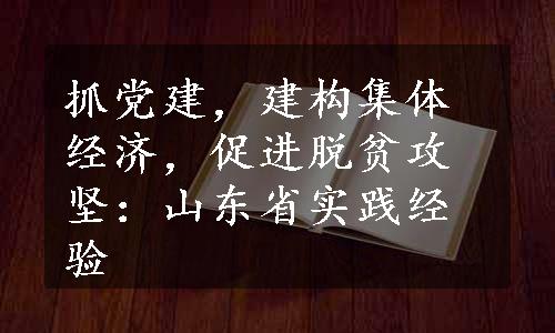 抓党建，建构集体经济，促进脱贫攻坚：山东省实践经验