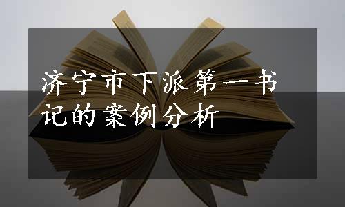 济宁市下派第一书记的案例分析