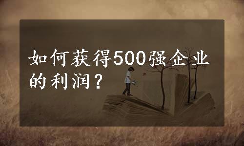 如何获得500强企业的利润？