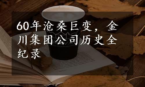 60年沧桑巨变，金川集团公司历史全纪录