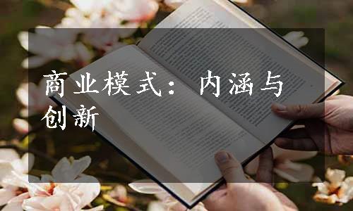 商业模式：内涵与创新