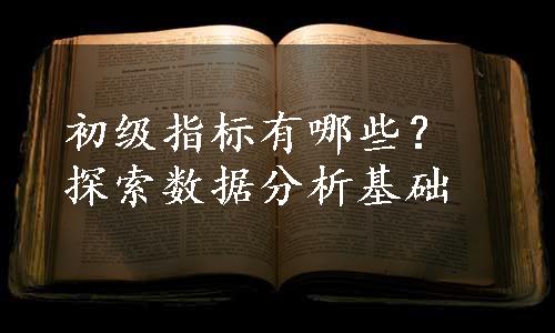 初级指标有哪些？探索数据分析基础