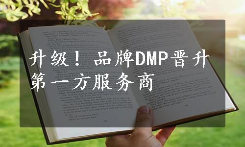 升级！品牌DMP晋升第一方服务商