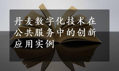 丹麦数字化技术在公共服务中的创新应用实例