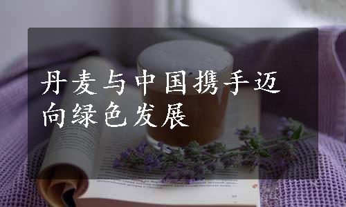 丹麦与中国携手迈向绿色发展