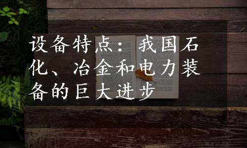 设备特点：我国石化、冶金和电力装备的巨大进步