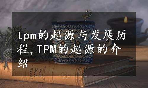tpm的起源与发展历程,TPM的起源的介绍