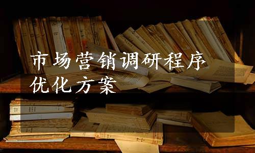 市场营销调研程序优化方案