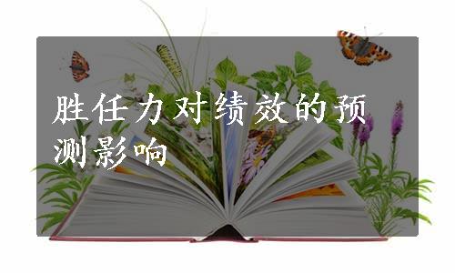 胜任力对绩效的预测影响