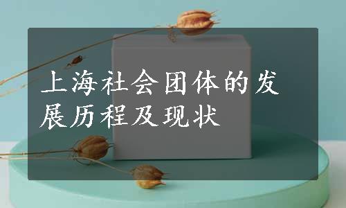 上海社会团体的发展历程及现状