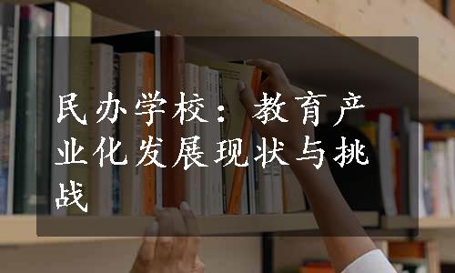 民办学校：教育产业化发展现状与挑战