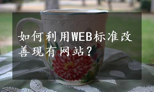 如何利用WEB标准改善现有网站？