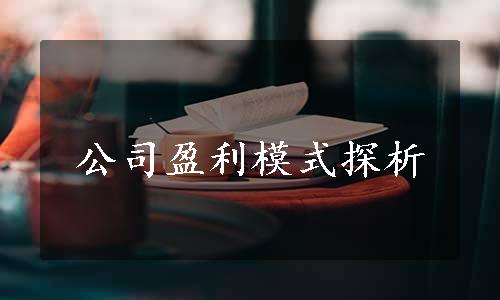 公司盈利模式探析