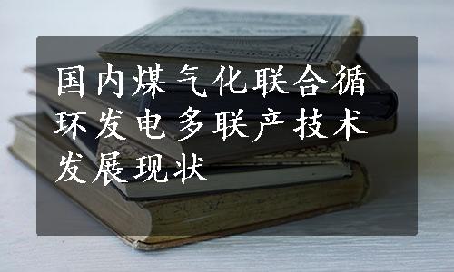 国内煤气化联合循环发电多联产技术发展现状