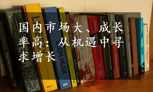 国内市场大、成长率高：从机遇中寻求增长