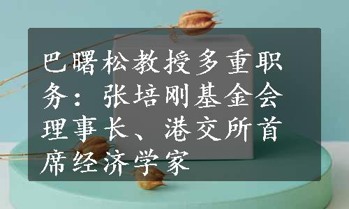 巴曙松教授多重职务：张培刚基金会理事长、港交所首席经济学家