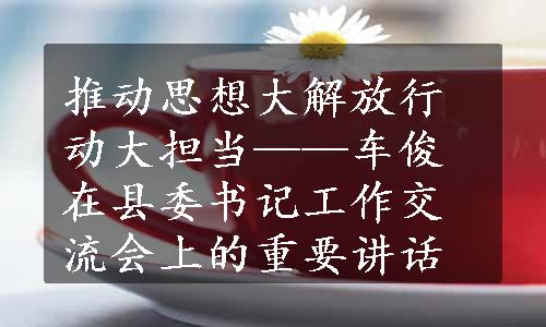 推动思想大解放行动大担当——车俊在县委书记工作交流会上的重要讲话