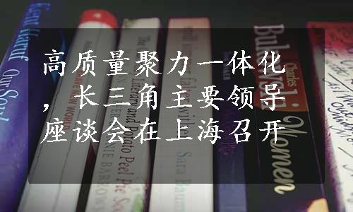 高质量聚力一体化，长三角主要领导座谈会在上海召开