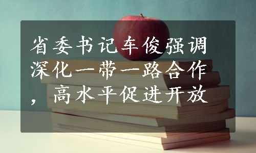 省委书记车俊强调深化一带一路合作，高水平促进开放