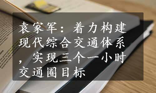 袁家军：着力构建现代综合交通体系，实现三个一小时交通圈目标