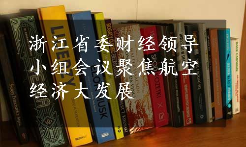 浙江省委财经领导小组会议聚焦航空经济大发展