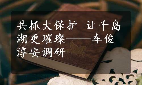 共抓大保护 让千岛湖更璀璨——车俊淳安调研