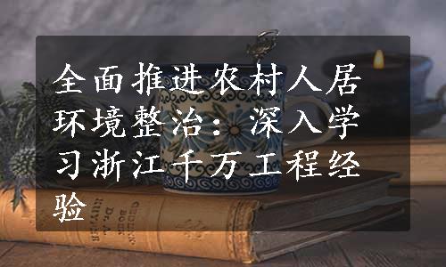 全面推进农村人居环境整治：深入学习浙江千万工程经验