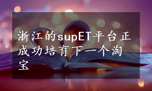 浙江的supET平台正成功培育下一个淘宝