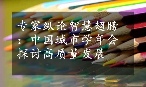 专家纵论智慧翅膀：中国城市学年会探讨高质量发展