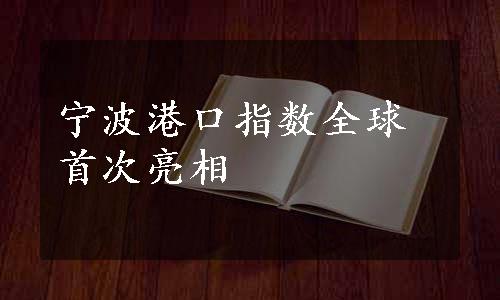 宁波港口指数全球首次亮相