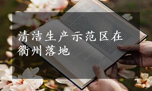 清洁生产示范区在衢州落地