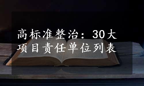 高标准整治：30大项目责任单位列表