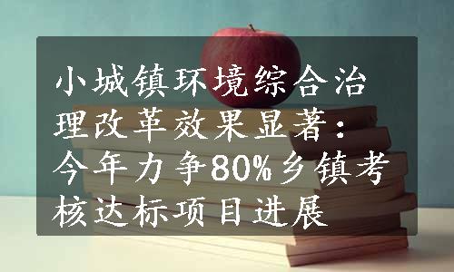 小城镇环境综合治理改革效果显著：今年力争80%乡镇考核达标项目进展