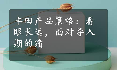 丰田产品策略：着眼长远，面对导入期的痛