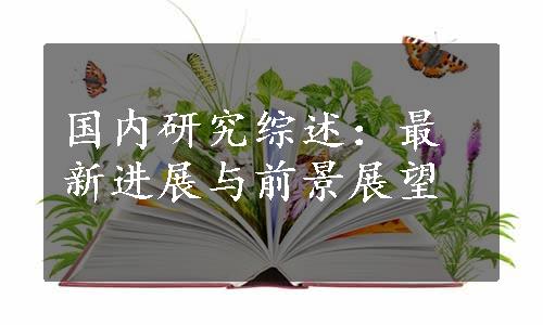 国内研究综述：最新进展与前景展望