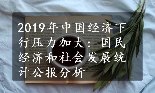 2019年中国经济下行压力加大：国民经济和社会发展统计公报分析