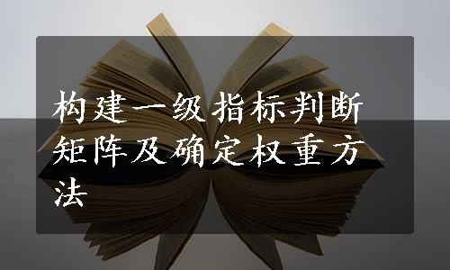 构建一级指标判断矩阵及确定权重方法