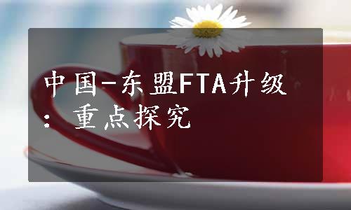 中国-东盟FTA升级：重点探究