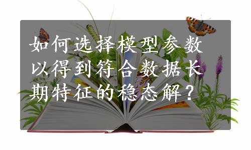 如何选择模型参数以得到符合数据长期特征的稳态解？