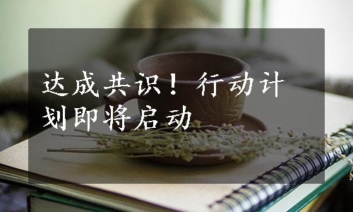 达成共识！行动计划即将启动