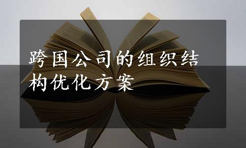 跨国公司的组织结构优化方案